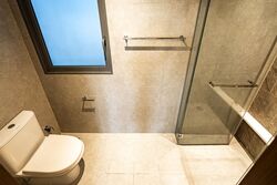 The Visionaire (D27), Condominium #554013561